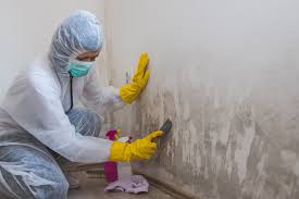 Best Mold Prevention Services  in Oakley, CA